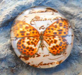 Cabochon (Glass)  *Butterfly  35 mm Diam Size (CLICK to see design options!) - Mhai O' Mhai Beads
 - 2