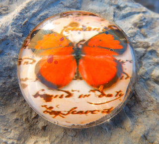 Cabochon (Glass)  *Butterfly  35 mm Diam Size (CLICK to see design options!) - Mhai O' Mhai Beads
 - 7