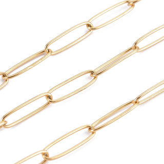304 Stainless Steel Paperclip Chains, Golden, 10x2.5x0.5mm.       Sold by the Foot