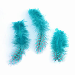 Chicken Feather Costume Accessories, Dyed, Dark Turquoise, 65~135x25~45mm.  (Approx 50 Feathers)