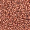 10/0 Czech Round Seed Beads (C/L Beige/ Orange Terra Color).   Hank.  Approx 20 grams