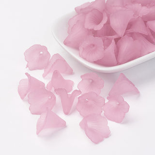 Transparent Acrylic Bead Caps, Trumpet Flower Beads, Frosted, Flower, Pink, 19~20x18~19x17mm, Hole: 1.5mm. (Packed 10)