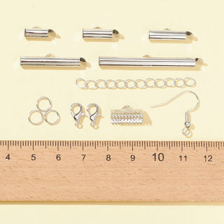 DIY Jewelry Making Finding Kit, Including Iron Slide On End Clasp Tube & Chain Extender & Ribbon Crimp Ends & Jump Rings, Brass Earring Hooks, Alloy Lobster Claw Clasps, Platinum Color on Metal.