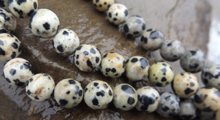 Jasper (Natural Dalmation Jasper) *8 mm size - Mhai O' Mhai Beads
 - 1