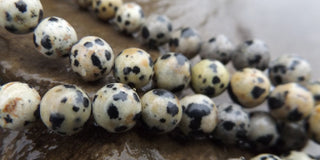 Jasper (Natural Dalmation Jasper) *8 mm size - Mhai O' Mhai Beads
 - 2