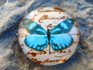 Cabochon (Glass)  *Butterfly  35 mm Diam Size (CLICK to see design options!) - Mhai O' Mhai Beads
 - 3