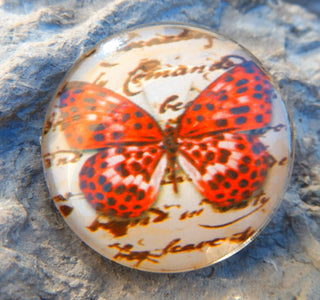 Cabochon (Glass)  *Butterfly  35 mm Diam Size (CLICK to see design options!) - Mhai O' Mhai Beads
 - 8