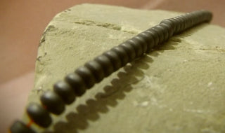 Hematite (Frosted Spacer "Disc" Beads) 5 x 2mm Size.   16" Strand