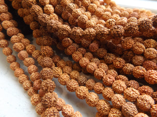 Rudraksha Beads (25" Strands) See Drop Down for options