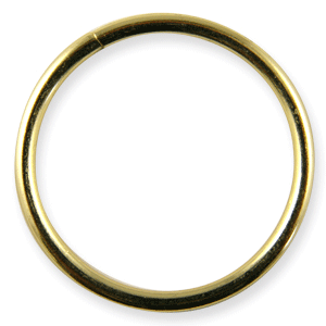 Dream 2025 catcher rings